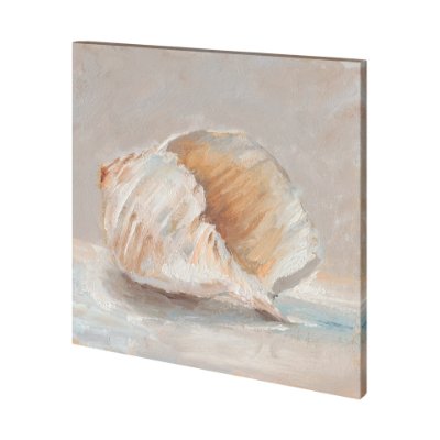 101363-L - Impressionist Shell Study IV by Mercana Studio a Hand Embellished Textured Canvas