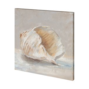 Impressionist Shell Study IV by Mercana Studio a Hand Embellished Textured Canvas