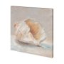 101363-S - Impressionist Shell Study IV by Mercana Studio a Hand Embellished Textured Canvas