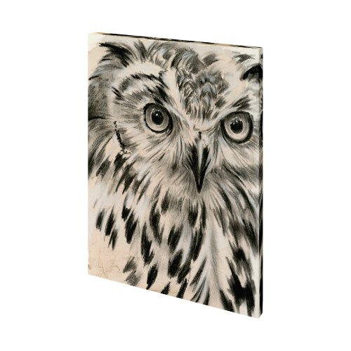 101376-S - Charcoal Owl I by Jennifer Paxton Parker a Hand Embellished Textured Canvas