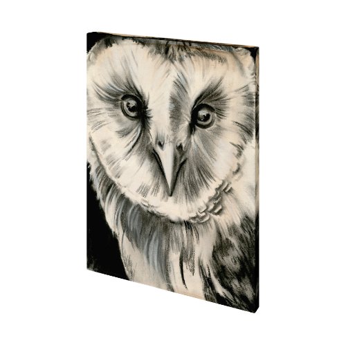 101377-S - Charcoal Owl II by Jennifer Paxton Parker a Hand Embellished Textured Canvas