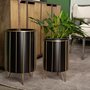 67919 - Pianta 13 x 21 Set of Two Black Metal Insert Brass Frame Plant Stands 