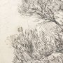 101432-S - Pacific North West Tree Sketch III by Melissa Wang a Hand Embellished Textured Canvas