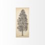 101432-S - Pacific North West Tree Sketch III by Melissa Wang a Hand Embellished Textured Canvas