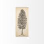 101431-S - Pacific North West Tree Sketch II by Melissa Wang a Hand Embellished Textured Canvas