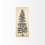 101430-S - Pacific North West Tree Sketch I by Melissa Wang a Hand Embellished Textured Canvas