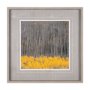 12961 - Aspen Trees 4 by Jamie Cook a Hand Embelished Textured Framed Photo Art Print Matted under Glass