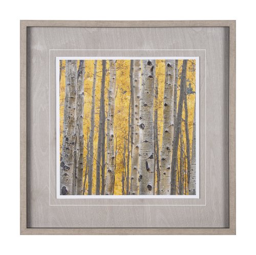 12962 - Aspen Trees 3 by Jamie Cook a Hand Embelished Textured Framed Photo Art Print Matted under Glass