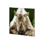 101462-S - Rhino Green by Mercana Studio a Hand Embellished Textured Canvas