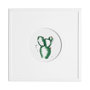 13053 - Cactus II by Mercana Studio a Hand Embellished Textured Framed Art Print Matted under Glass