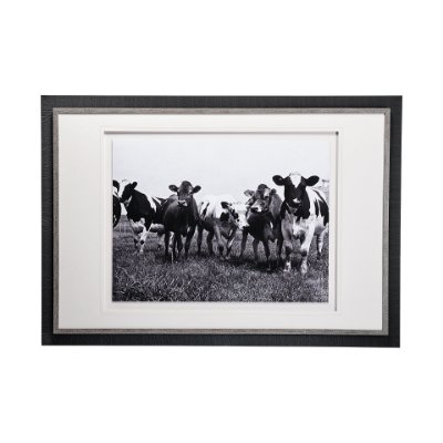 13129 - Curiosity by The Vintage Collection a Hand Embellished Textured Framed Art Photo Matted under Glass