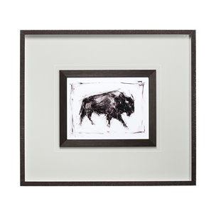 Dynamic Bison Framed Series