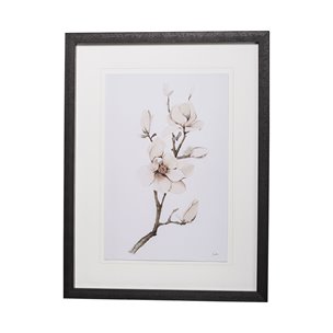 Magnolia III by Gabrielle C a Framed Art Print Matted under Glass