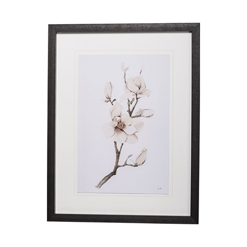 13220 - Magnolia III by Gabrielle C a Framed Art Print Matted under Glass