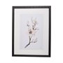 13220 - Magnolia III by Gabrielle C a Framed Art Print Matted under Glass