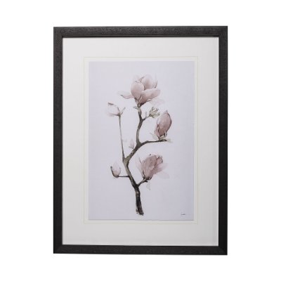 13218 - Magnolia I by Gabrielle C a Framed Art Print Matted under Glass