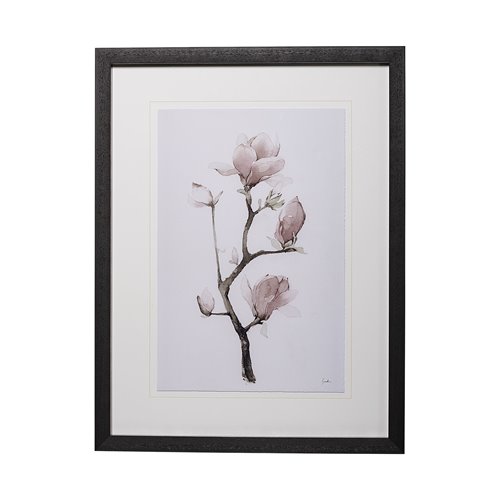 13218 - Magnolia I by Gabrielle C a Framed Art Print Matted under Glass
