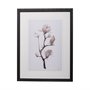 13218 - Magnolia I by Gabrielle C a Framed Art Print Matted under Glass