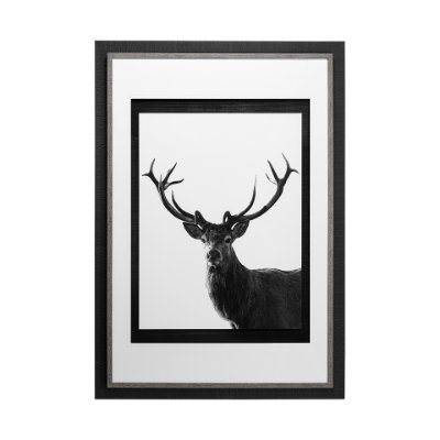 13113 - Forest Royal Grand by Matthew Roseveare Hand Embelished Textured Framed Art Photo Matted under Glass
