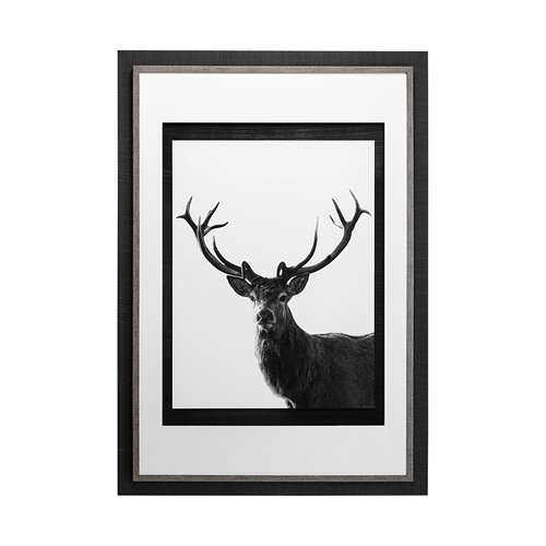 13113 - Forest Royal Grand by Matthew Roseveare Hand Embelished Textured Framed Art Photo Matted under Glass