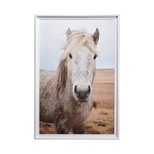 49822 Heida I by Laura Marshall a Framed Photo Art Print Matted under Glass
