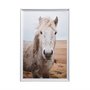 13078 - 49822 Heida I by Laura Marshall a Framed Photo Art Print Matted under Glass