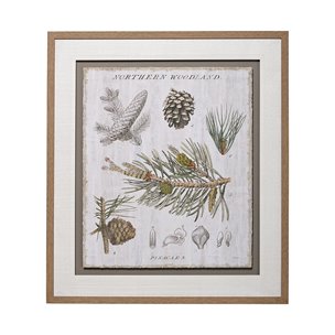 Woodland Chart III by Sue Schlabach a Hand Embellished Textured Framed Art Print Matted under Glass