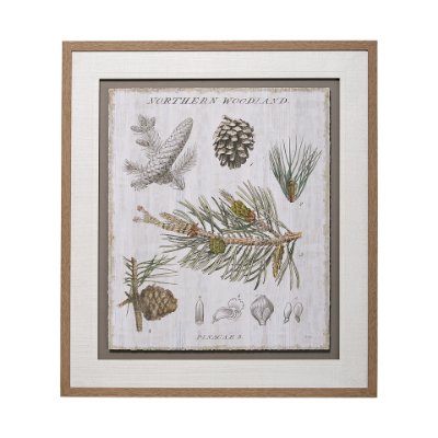 13073 - Woodland Chart III by Sue Schlabach a Hand Embellished Textured Framed Art Print Matted under Glass