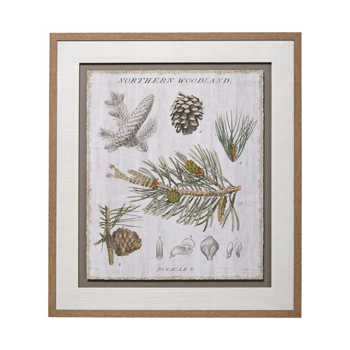13073 - Woodland Chart III by Sue Schlabach a Hand Embellished Textured Framed Art Print Matted under Glass