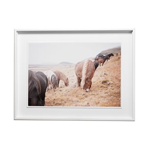 Horses of Hofn II by Laura Marshall a Framed Photo Art Print Matted under Glass