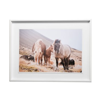 13079 - Horses of Hofn I by Laura Marshall a Framed Photo Art Print Matted under Glass