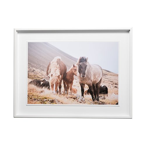 13079 - Horses of Hofn I by Laura Marshall a Framed Photo Art Print Matted under Glass