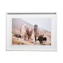13079 - Horses of Hofn I by Laura Marshall a Framed Photo Art Print Matted under Glass
