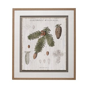 Woodland Chart V by Sue Schlabach a Hand Embellished Textured Framed Art Print Matted under Glass