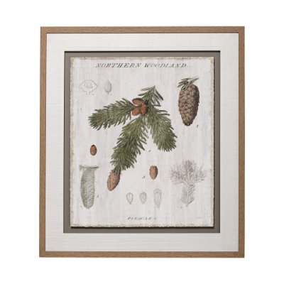 13075 - Woodland Chart V by Sue Schlabach a Hand Embellished Textured Framed Art Print Matted under Glass