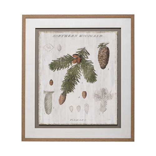 13075 - Woodland Chart V by Sue Schlabach a Hand Embellished Textured Framed Art Print Matted under Glass
