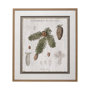 13075 - Woodland Chart V by Sue Schlabach a Hand Embellished Textured Framed Art Print Matted under Glass