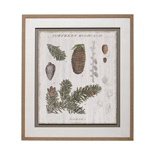 Woodland Chart IV by Sue Schlabach a Hand Embellished Textured Framed Art Print Matted under Glass