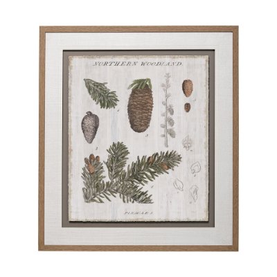 13074 - Woodland Chart IV by Sue Schlabach a Hand Embellished Textured Framed Art Print Matted under Glass