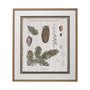 13074 - Woodland Chart IV by Sue Schlabach a Hand Embellished Textured Framed Art Print Matted under Glass