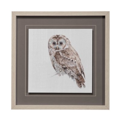 13063 - Forest Friends IX (Owl) by Lisa Audit Hand Embellished Textured Framed Art Print Matted under Glass