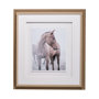 13190 - Horse 9 by Chris Dunker a Framed Photo Art Print Matted under Glass