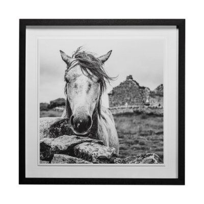 13189 - Ireland Black & White by Arabella Studios a Framed Photo Art Print Matted under Glass