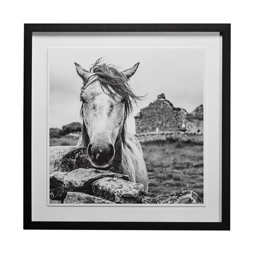 13189 - Ireland Black & White by Arabella Studios a Framed Photo Art Print Matted under Glass