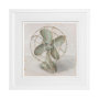 13192 - Old School II by Ethan Harper a Framed Art Print Matted under Glass