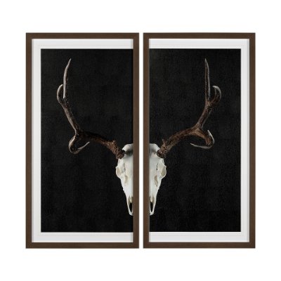 13166 - Deer Skull-L by Chris Dunker a Hand Embellished Textured Framed Art Print Matted under Glass