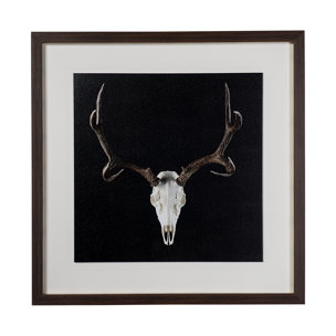 Deer Skull by Chris Dunker a Hand Embelished Textured Framed Art Print Matted under Glass