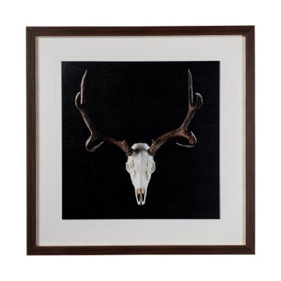 13170 - Deer Skull by Chris Dunker a Hand Embelished Textured Framed Art Print Matted under Glass