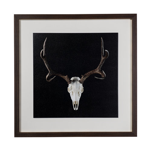 13170 - Deer Skull by Chris Dunker a Hand Embelished Textured Framed Art Print Matted under Glass