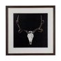 13170 - Deer Skull by Chris Dunker a Hand Embelished Textured Framed Art Print Matted under Glass